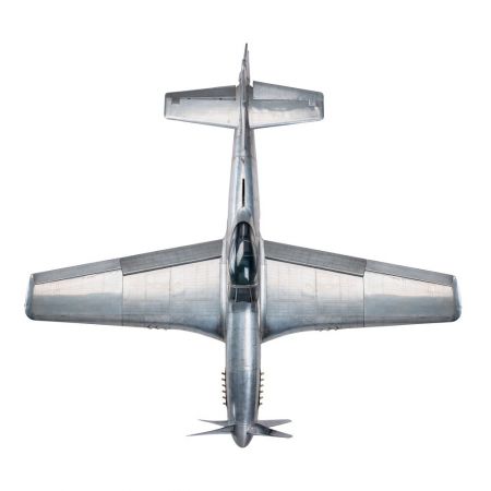 Maquette Avion - WWI Mustang